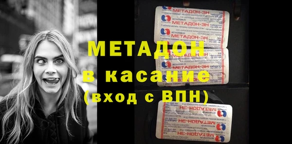 прущие грибы Алзамай