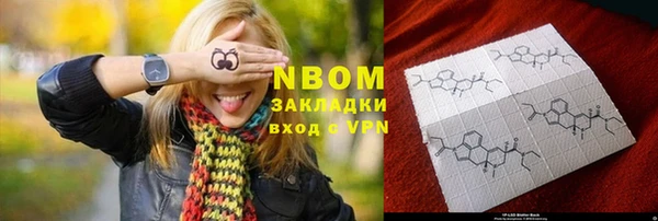 прущие грибы Алзамай