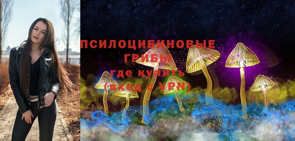 прущие грибы Алзамай