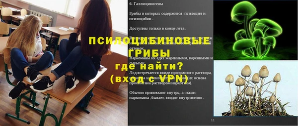 герыч Алексин