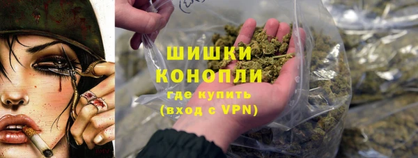 сатива Дмитровск