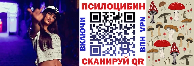 закладка  МЕГА как войти  Псилоцибиновые грибы Psilocybe  Безенчук 
